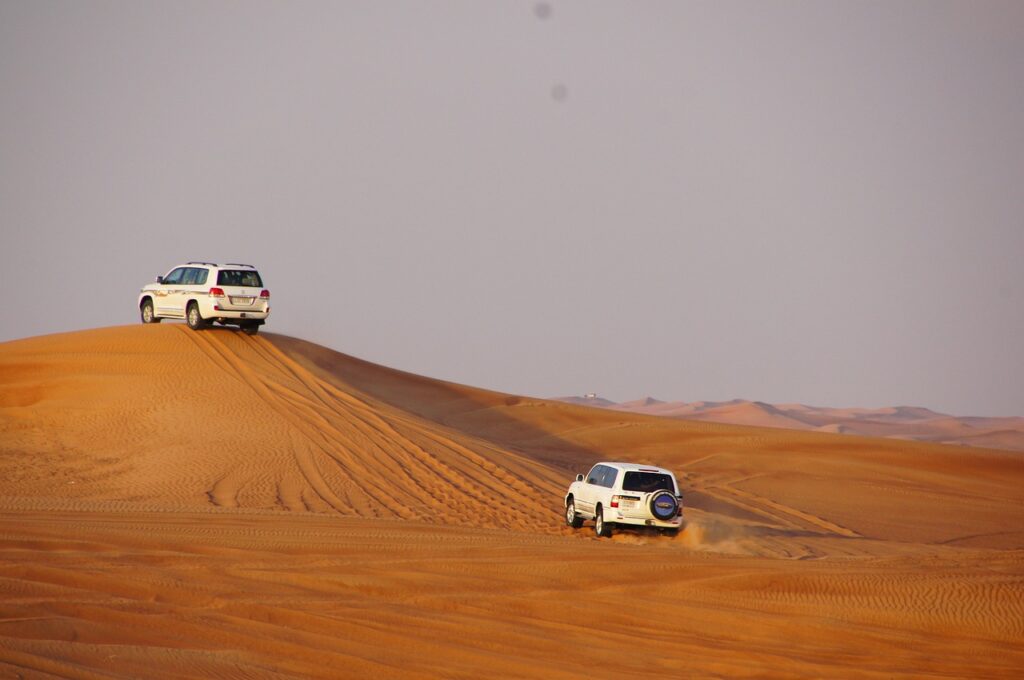 safari, dune, desert-386292.jpg